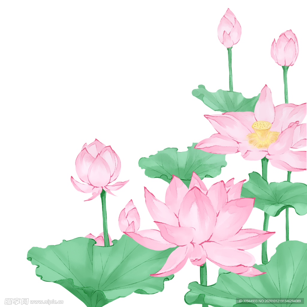 荷花元素