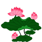 荷花元素
