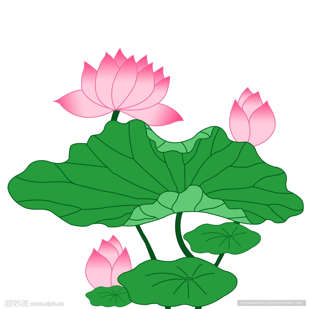 荷花元素
