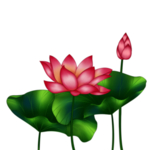 荷花元素