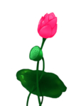 荷花元素