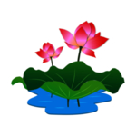 荷花元素