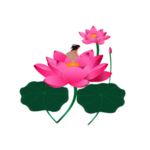荷花元素
