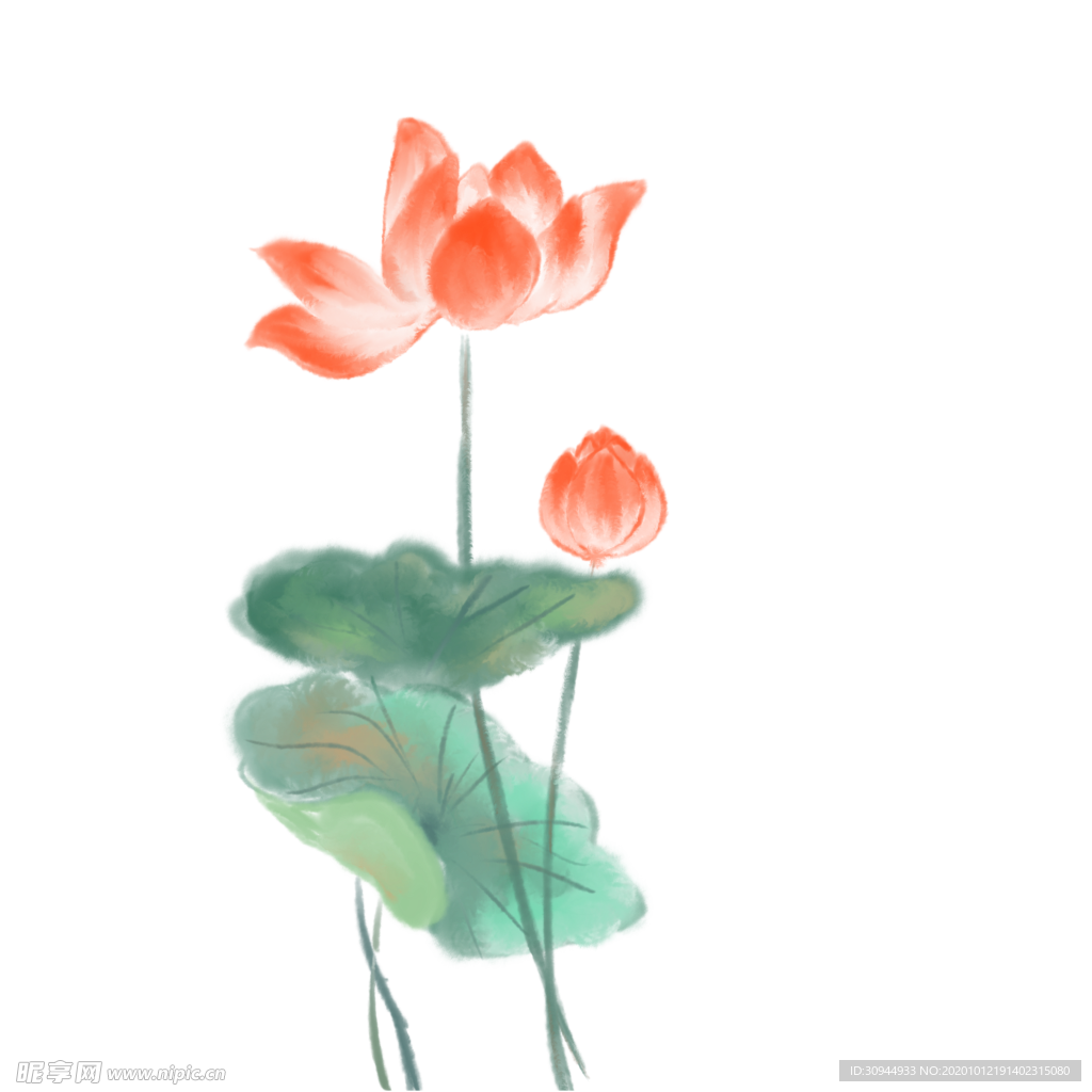 荷花元素