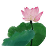 荷花元素