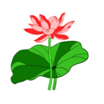荷花元素