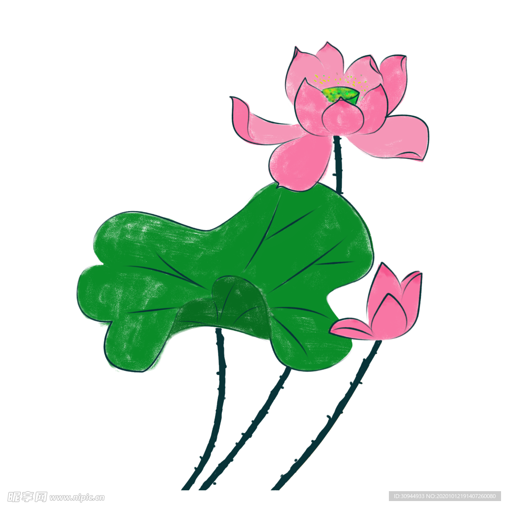 荷花元素
