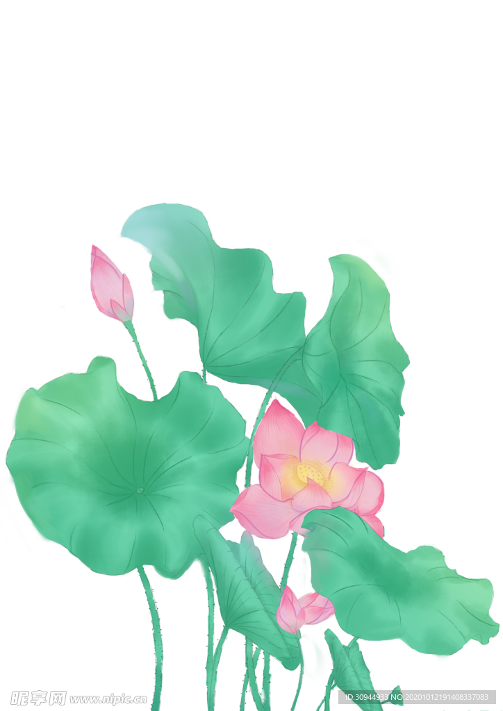 荷花元素