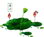 荷花元素