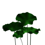 荷花元素