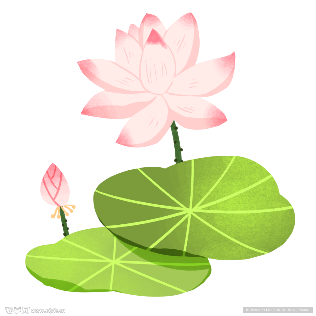 荷花元素