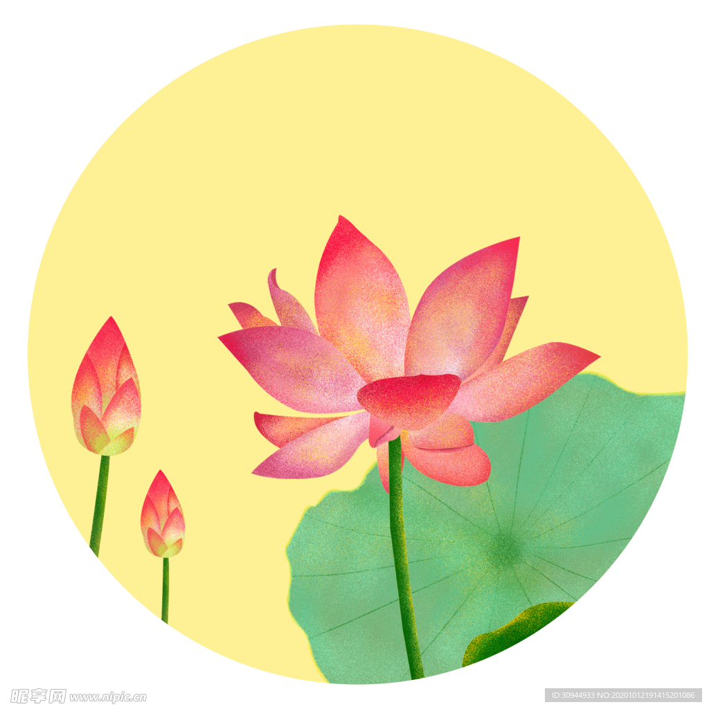 荷花元素