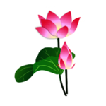 荷花元素