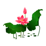 荷花元素