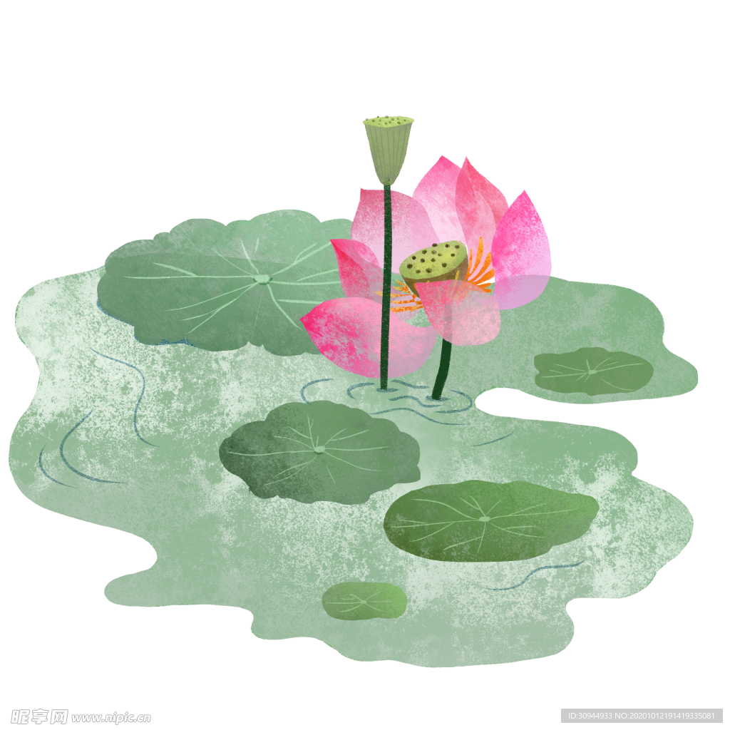 荷花元素
