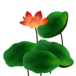 荷花元素