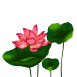 荷花元素