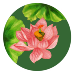 荷花元素