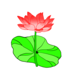 荷花元素