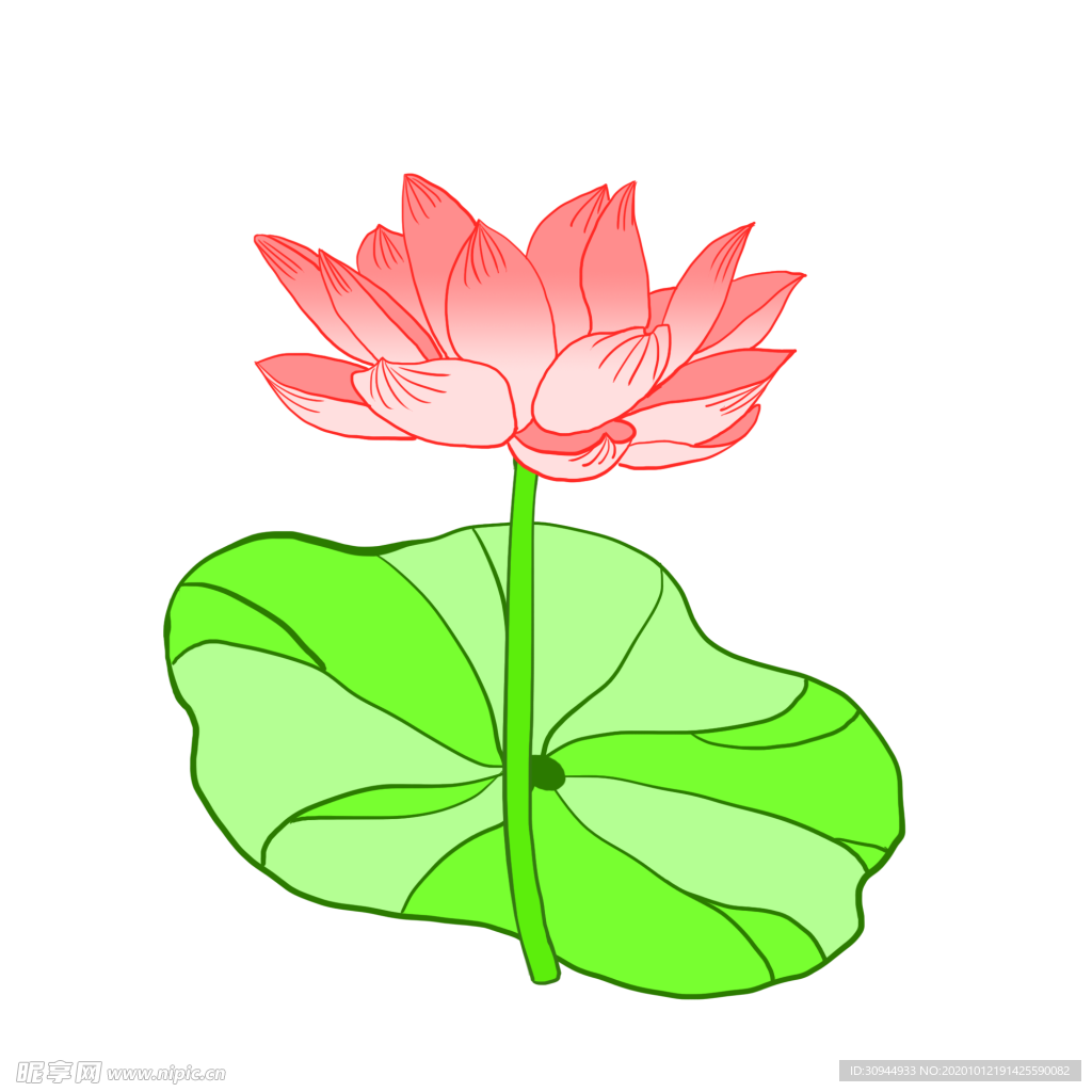 荷花元素