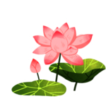 荷花元素