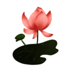 荷花元素