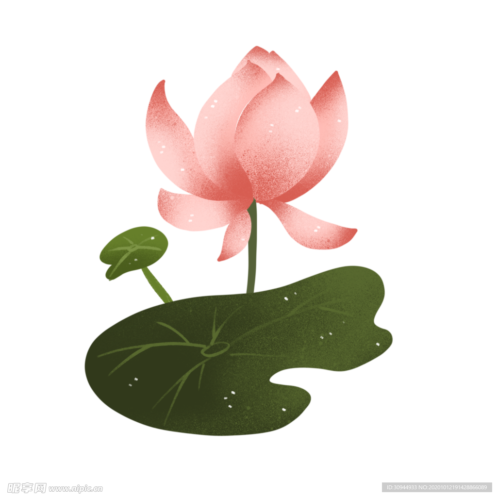 荷花元素