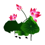 荷花元素