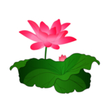 荷花元素