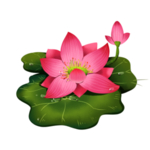 荷花元素