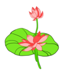 荷花元素