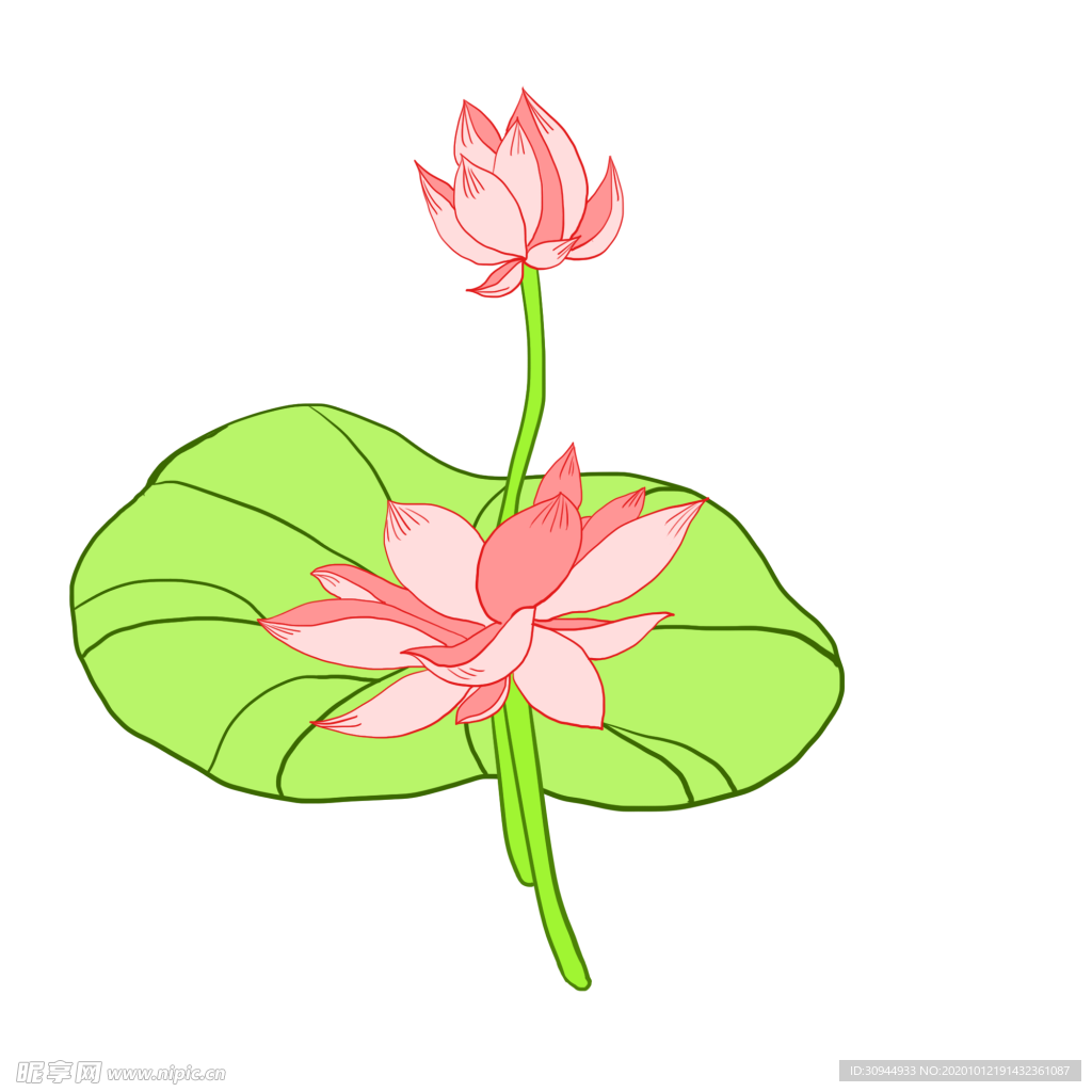 荷花元素