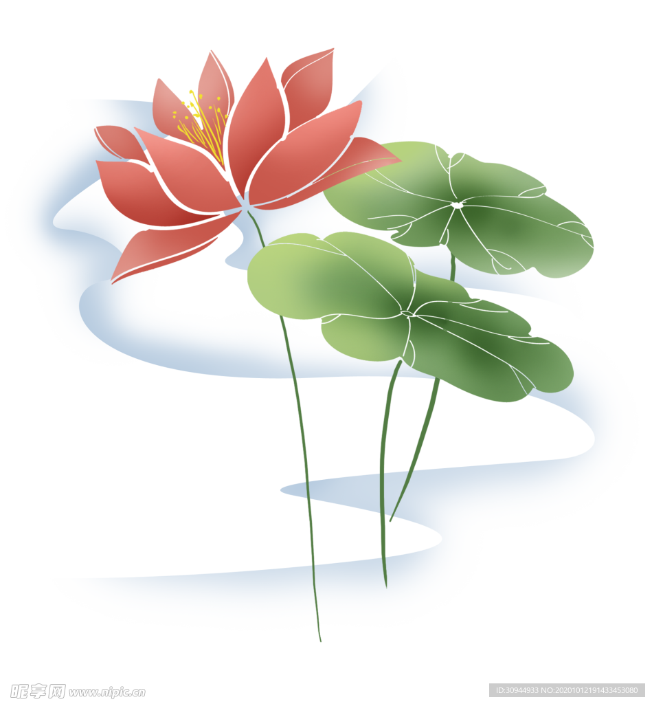 荷花元素