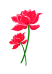 荷花元素