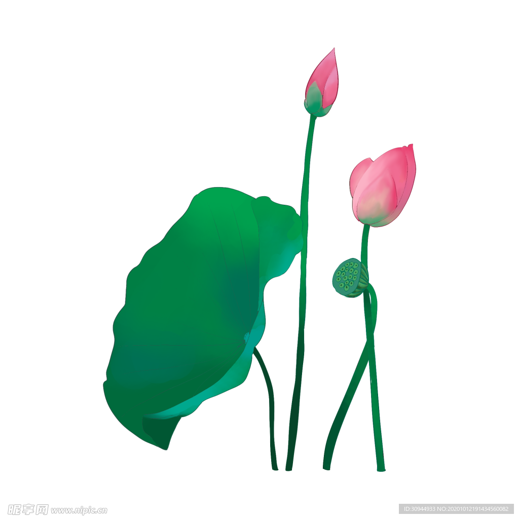 荷花元素