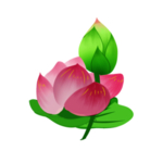 荷花元素