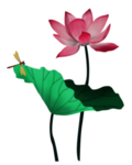 荷花元素