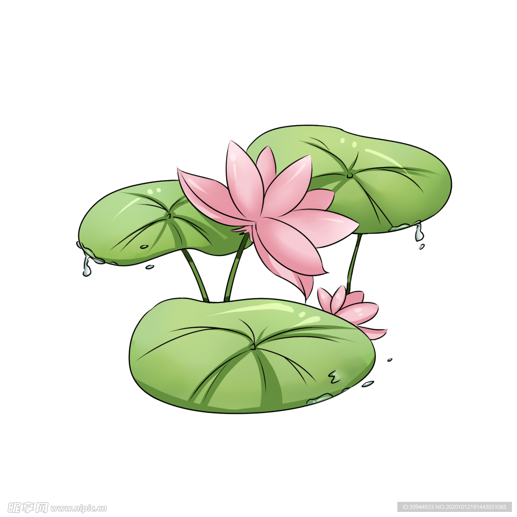 荷花元素