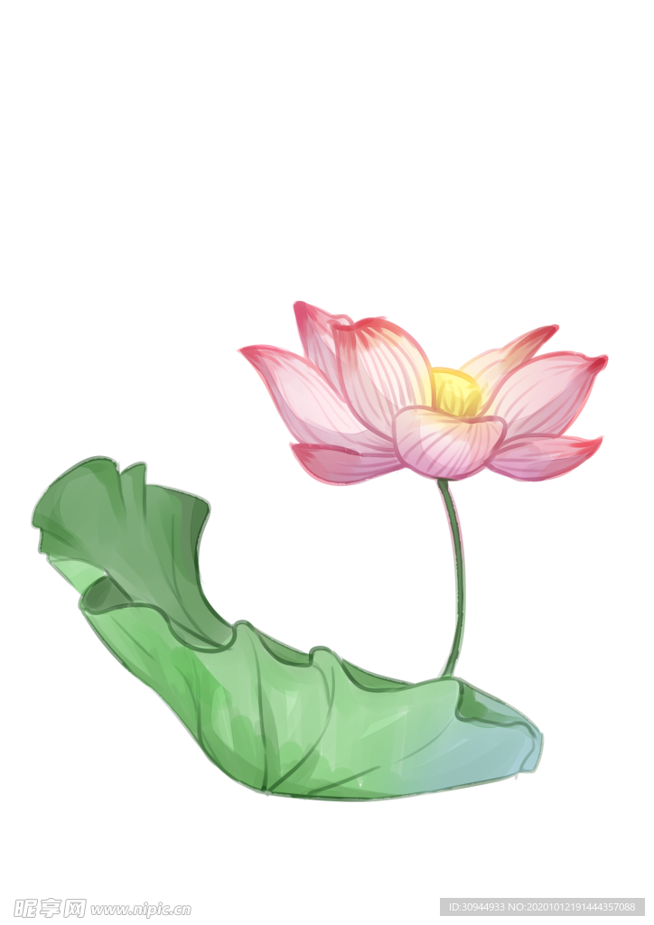 荷花元素