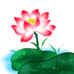 荷花元素
