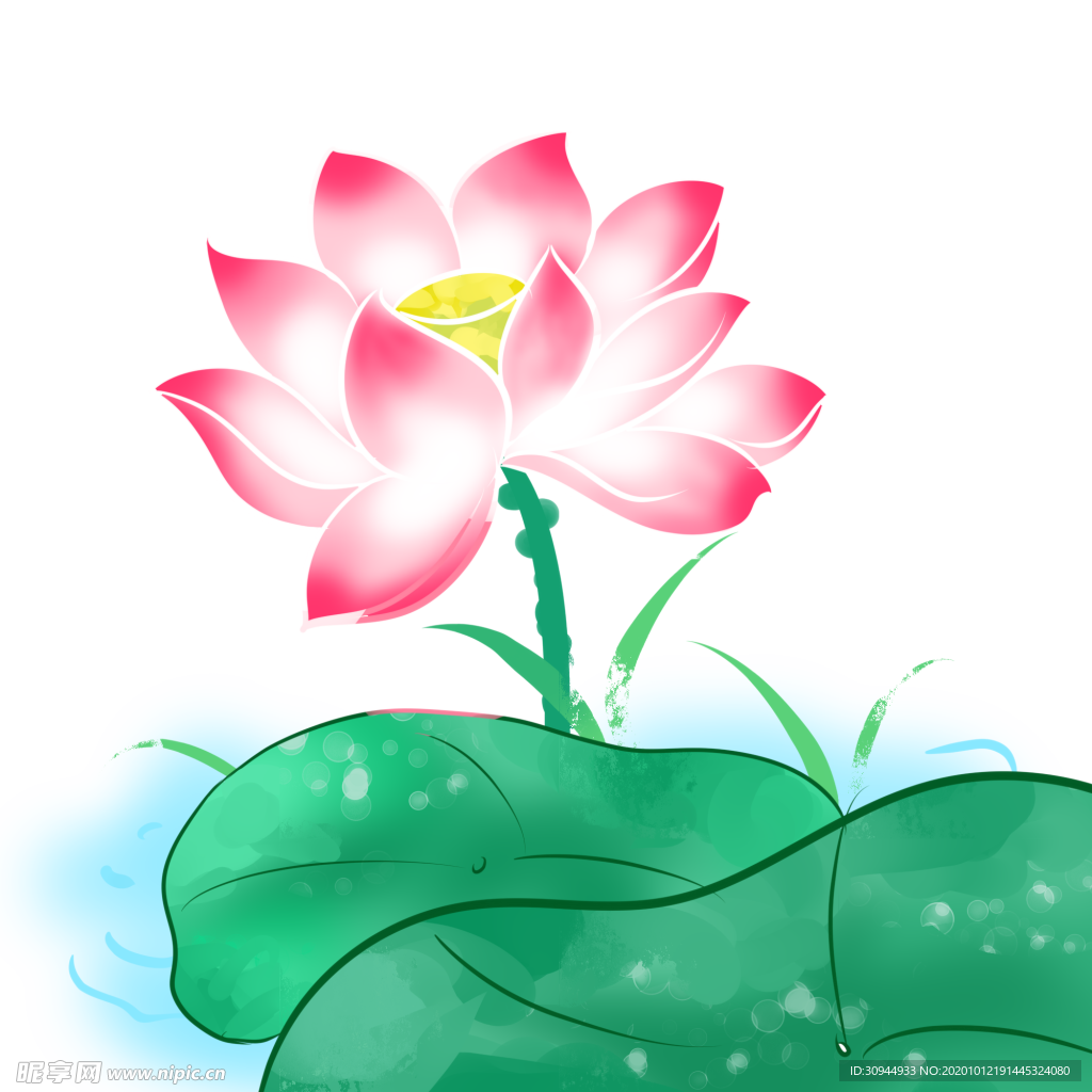 荷花元素