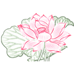 荷花元素