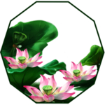 荷花元素