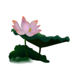 荷花元素