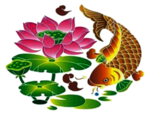 荷花元素