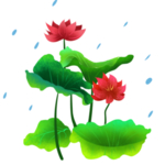 荷花元素