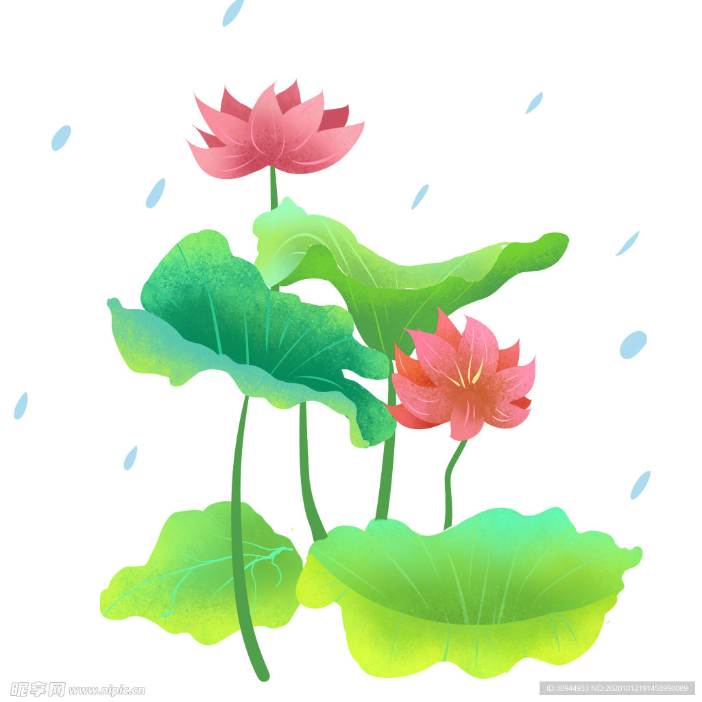荷花元素