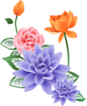 荷花元素