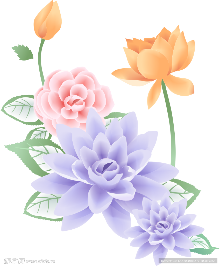 荷花元素