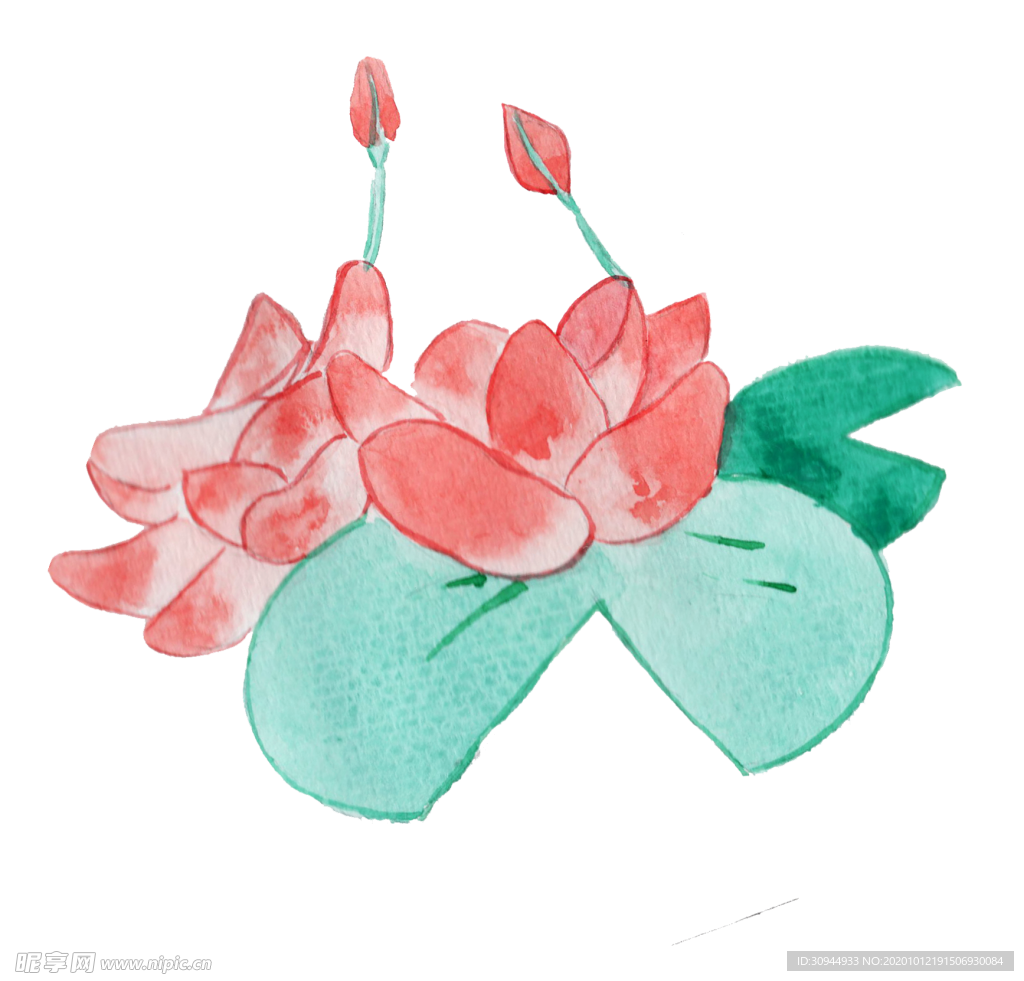 荷花元素